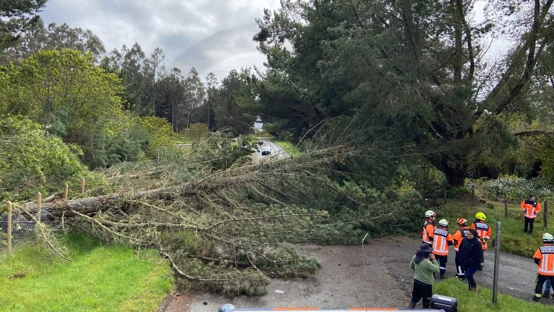 #UltimoMinuto
CAÍDA de Árbol mantiene transito interrumpido hacia balneario Pangal sector cruce Cárdenas. 
Bomberos trabaja para despejar la Ruta.