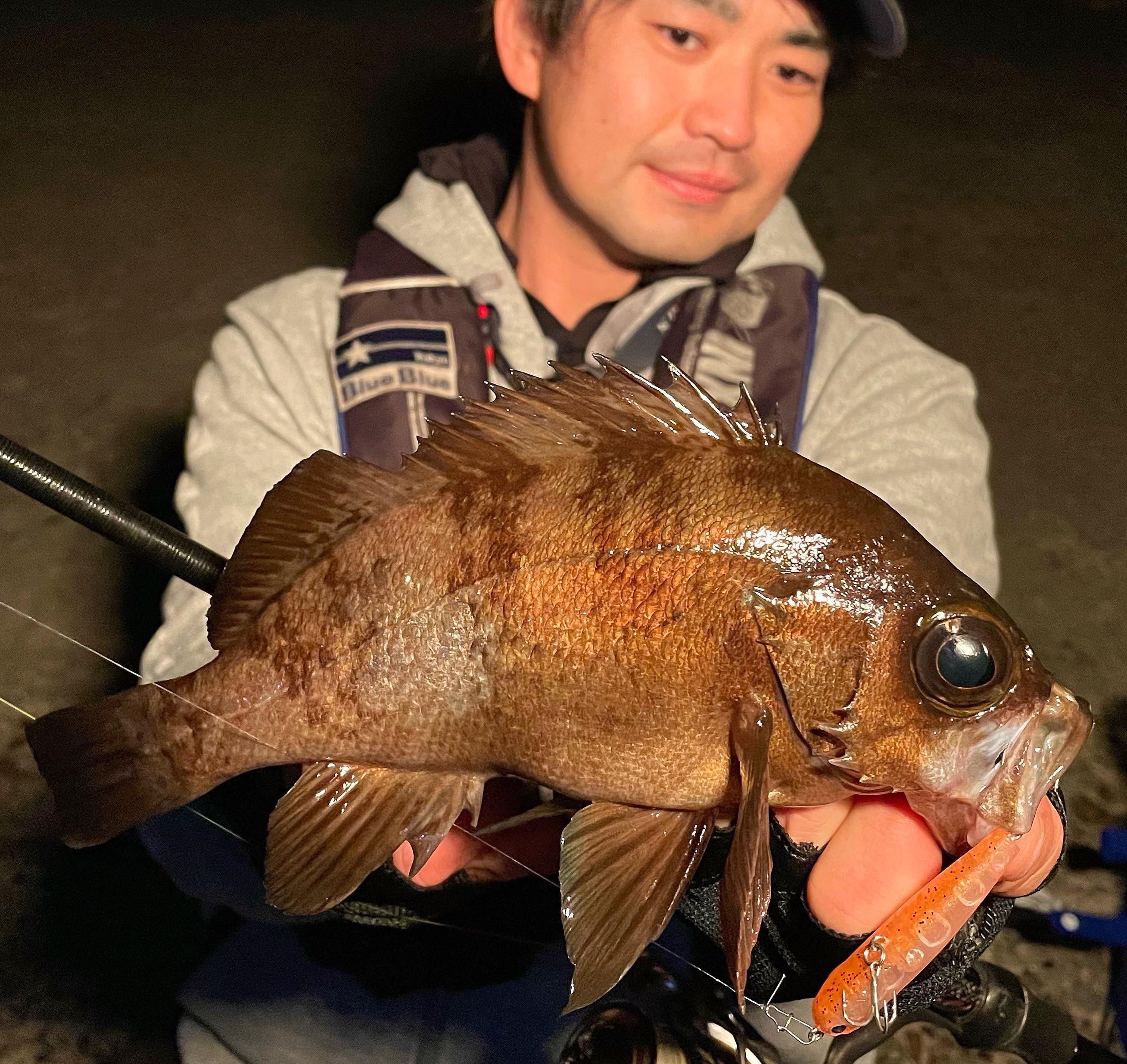 スネコン50s Twitter Search Twitter