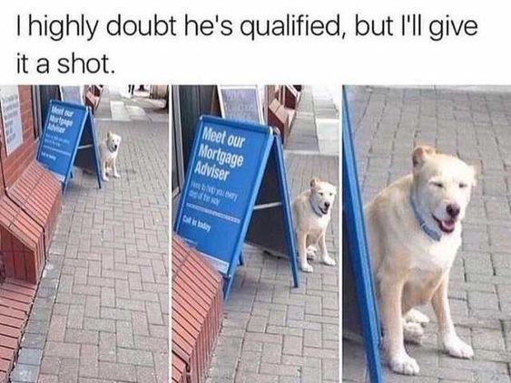 WholesomeMeme's tweet photo. https://t.co/xHc1oMXwuw
