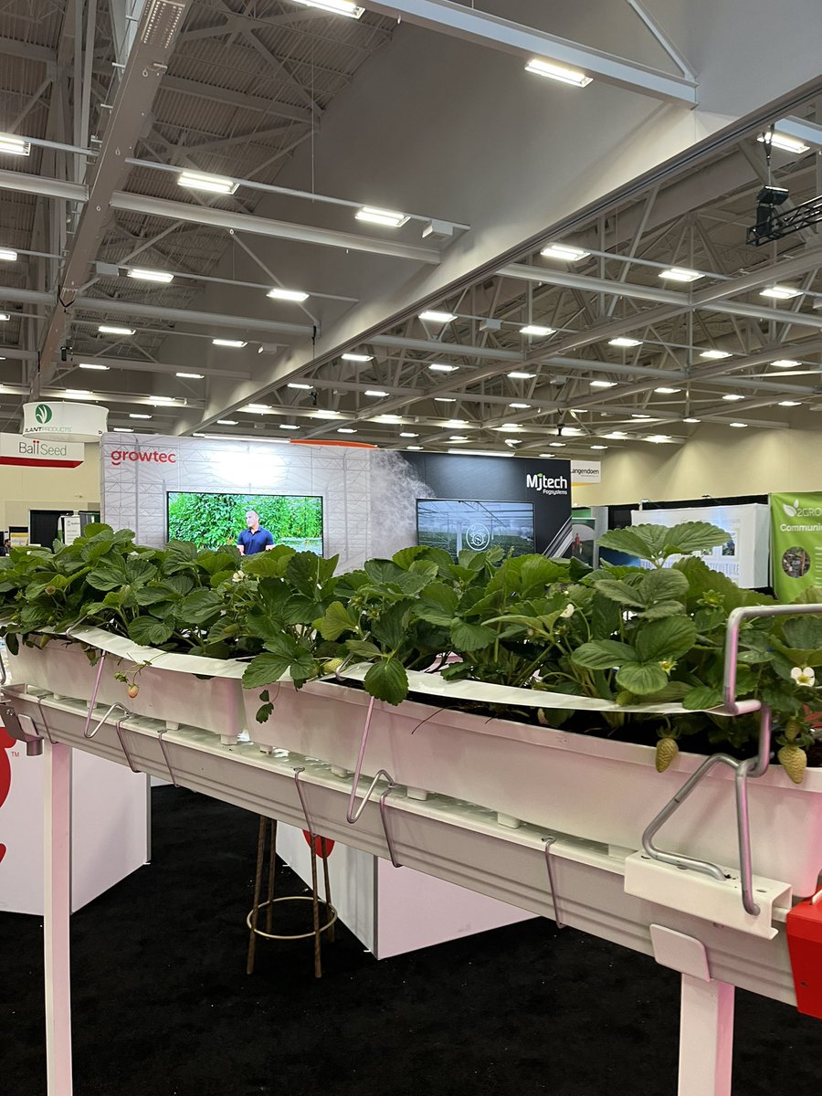 Victoria Buma (Eastman) tweet media