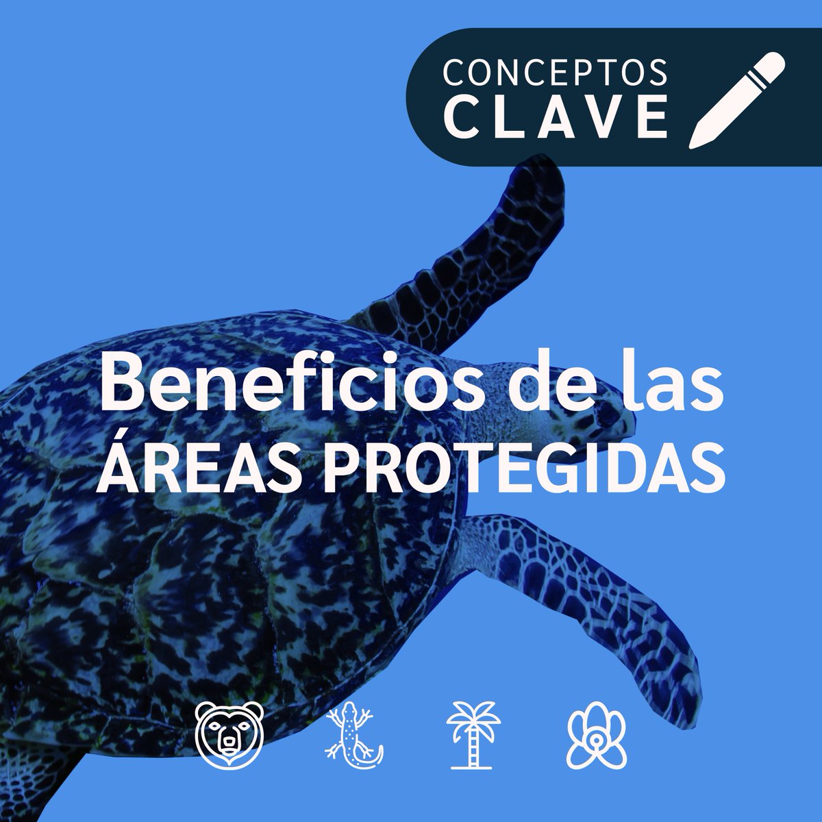 ParquesComoVan's tweet photo. #ConceptosClave
Cuando hablamos de Beneficios de las Áreas Protegidas nos referimos a la relevancia que en términos económicos, socioculturales y ecológicos genera la existencia del área protegida.Estos beneficios pueden ser materiales y no materiales. 👇 https://t.co/kic0H33S8J