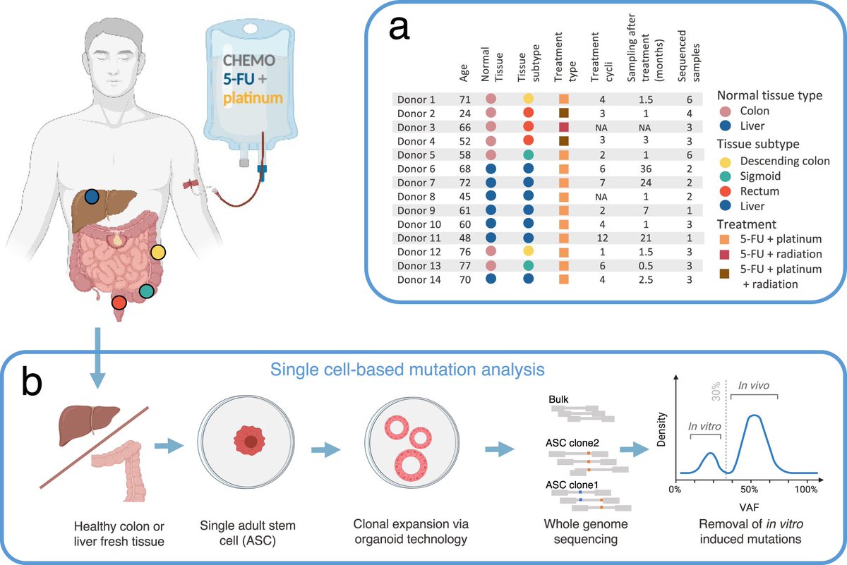 Nature Communications tweet media