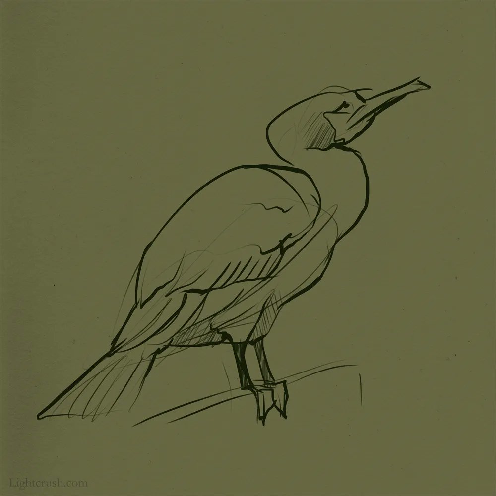 「Bird 59#dailyfeathers 」|Jenna Vincentのイラスト
