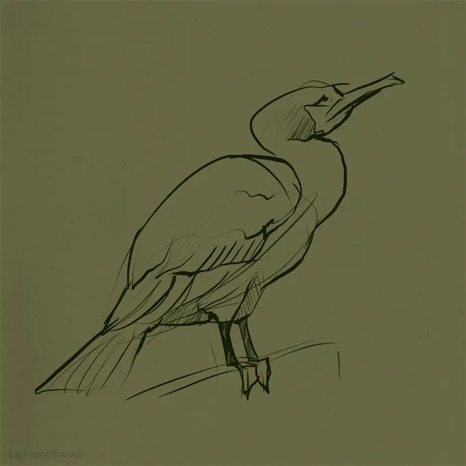 Bird 59#dailyfeathers 