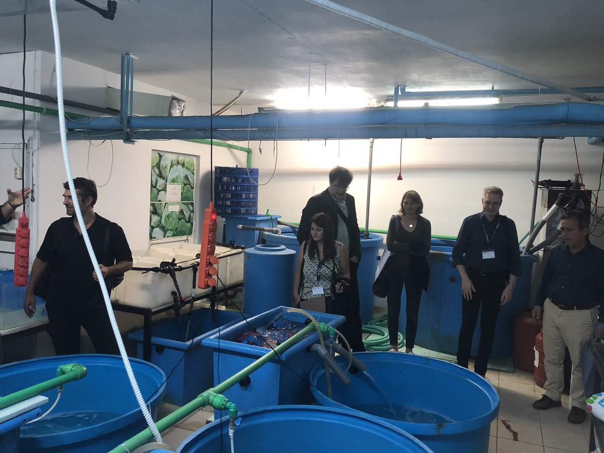 bluebiochain's tweet photo. Visiting another demo site in @Auth_University related with #aquaculture of crayfish in the frame of clustering with other projects!
@BlueBioCOFUND @grafeiotypouelg @CERTHellas @KU_Leuven @MatisIceland @UMmalta @DTUtweet @ecoresourcesGR #BlueBioChain https://t.co/8Nrj8NfevZ