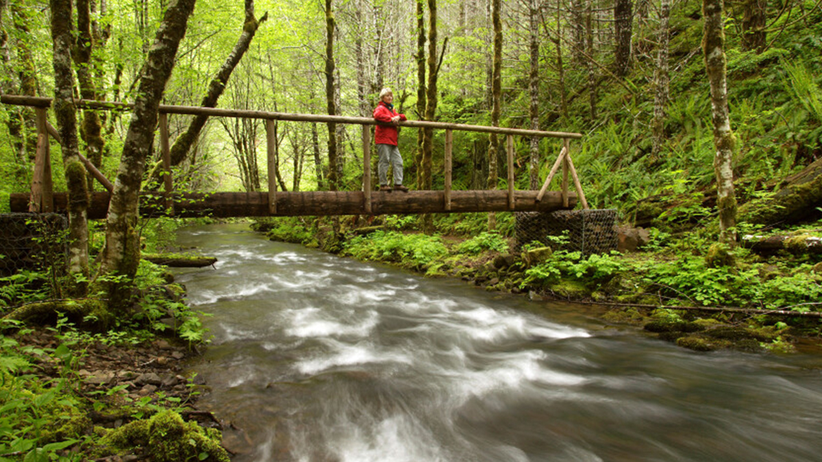 conservationall's tweet image. 🚨#granteespotlight #FundedProjectFriday 🚨@wildsalmoncntr 
Tillamook Legacy Campaign: To protect 50 percent—approximately 250,000 acres—of the Tillamook and Clatsop State Forest through Oregon’s Habitat Conservation Plan.
📸: Wild Salmon Center
#wekeepitwild