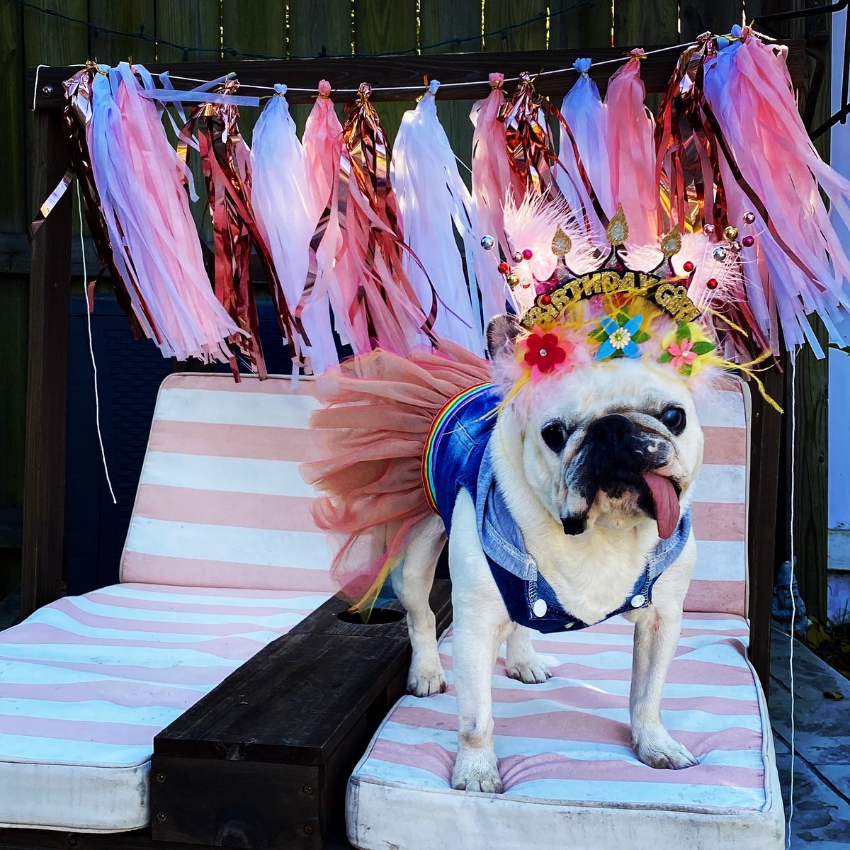 It’s Luna Beans 6th birthday today!! I can’t even believe it! She’s such a fun little sister and I love her so much!