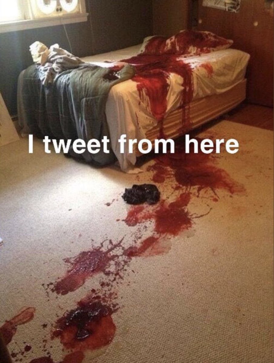 Kattniss tweet media