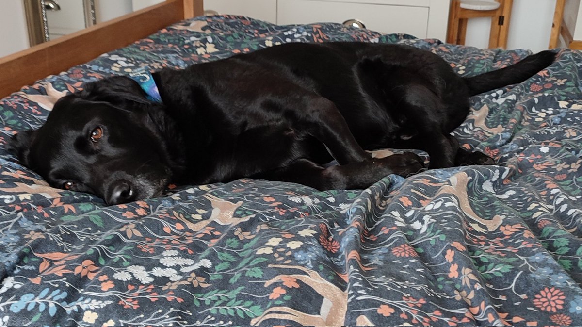 Wow Senco course day 1 has blown my mind. 🤯 The role is absolutely massive and there is so much to do before day 2! 

Colleague number 2 of the day has the right idea now. 😴

#senco #edutwitter