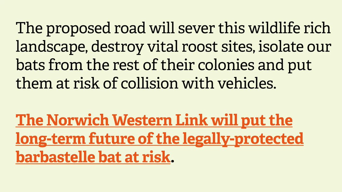 These incredibly rare & well-loved bats have the highest level of legal protection & should be defended against all forms of development. 🦇 Lend us your voice & help save this major barbastelle bat stronghold: norfolkwt.uk/ActNow #LoveBats #SkyPuppies #StopTheWesternLink