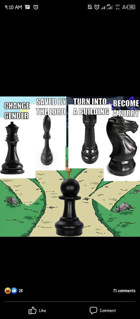 pythoncodess's tweet image. Chess memes
#chess #chessmemes
