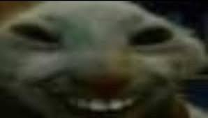 SolrakSands's tweet photo. Estoy flipando, ahora en twitter puedes poner tweets y elegir qué personas de tu tl pueden verlo, yo he puesto que este tweet solo puedan verlo los frikis y fracasados https://t.co/3dk9UEhs5E
