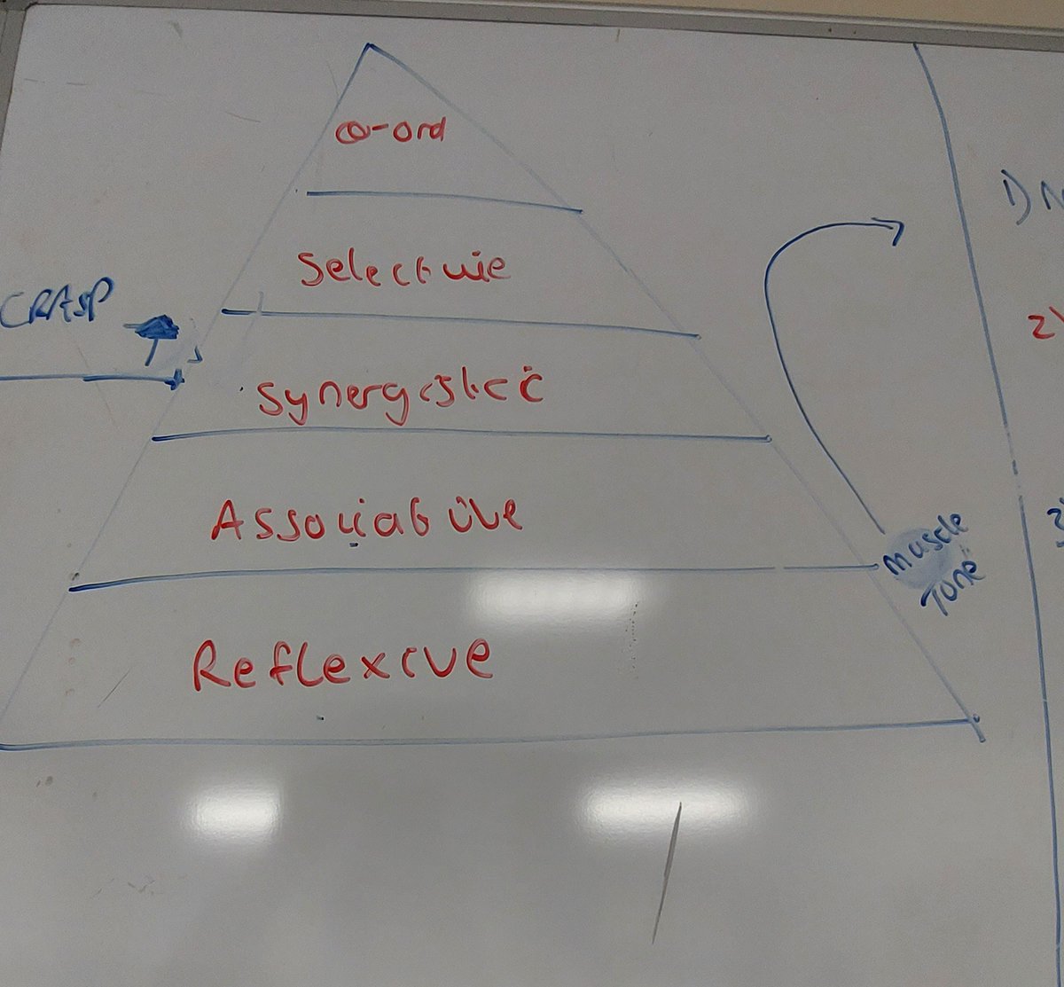CoalvillehospitalLPT tweet media