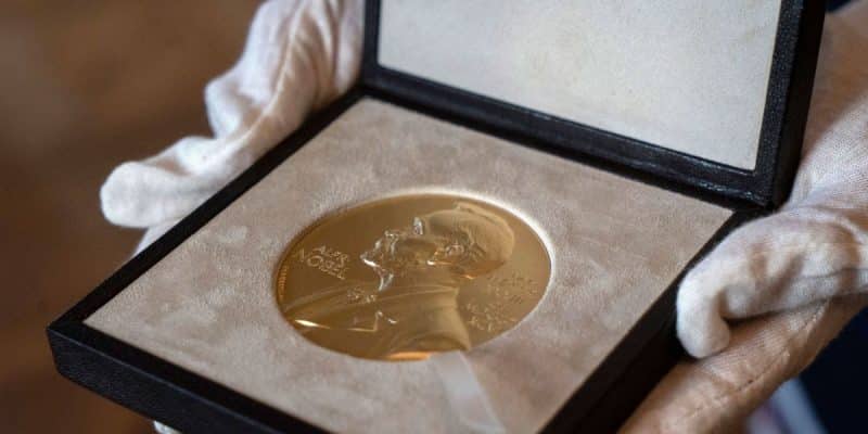 Bctuab's tweet photo. 🔝#Sabiesque aquesta setmana s'han concedit els #PremisNobel?
Repassem en aquest enfilall els corresponents a:
🔹Física
🔹Química
🔹Fisiologia o Medicina
#NobelPrize @FCienciesUAB @Biociencies_UAB @medicinauab @Bibfiq @bibgeo
🧵👇 https://t.co/sR1xVQnxwH