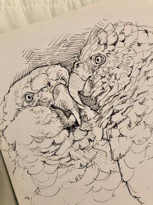 Drawings on the plane before I realised my favourite pen is running out of ink and I didnt bring a spare cartridge 🔫 