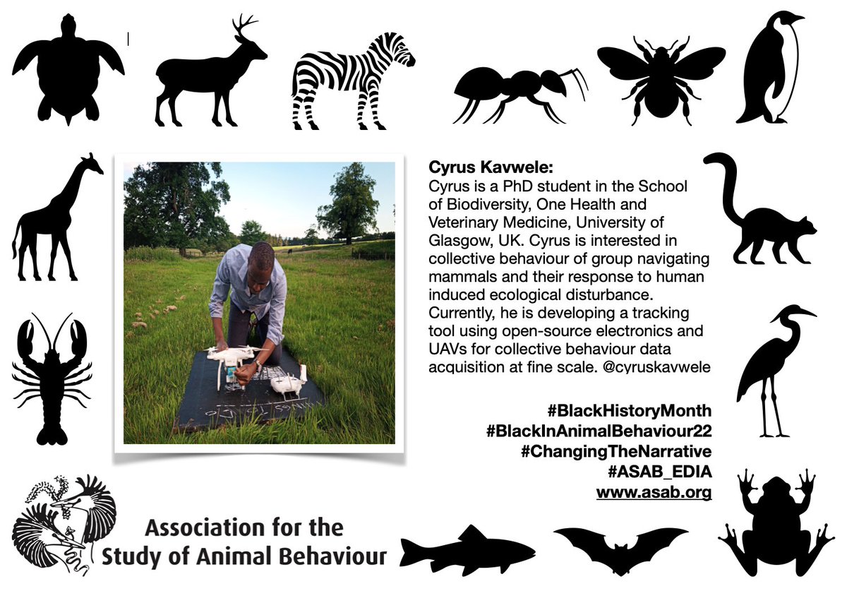 asab_org's tweet photo. This is @cyruskavwele of @UofGlasgow We are supporting #BlackHistoryMonth by #ChangingTheNarrative  #ASAB_EIDA #BlackInAnimalBehaviour22 https://t.co/v9TkU5auHq