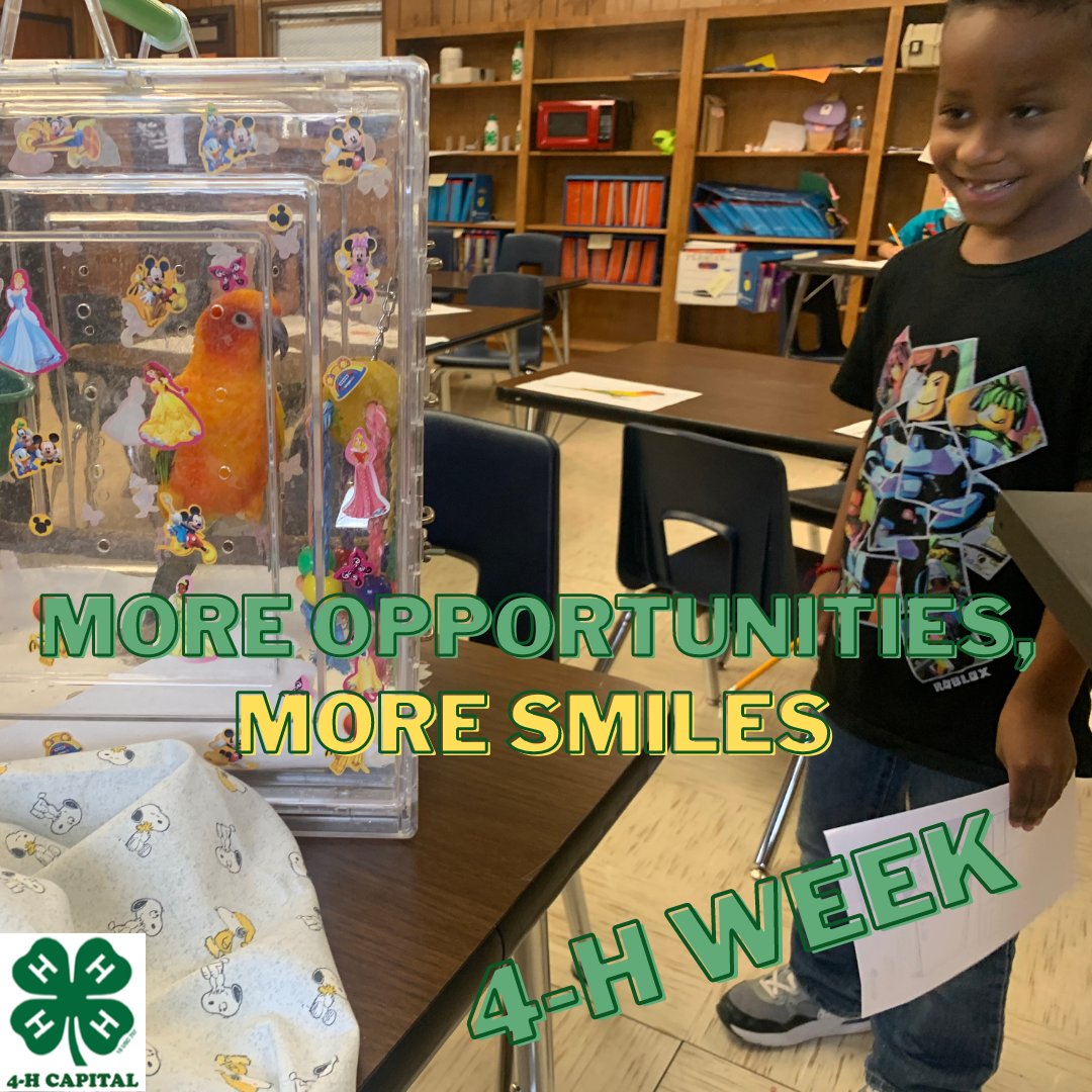 Believe in the power of young people. Believe in the power of #4H ! #4hweek #opp4all A 4-H student observes a parrot at Perez Elementary School last April.