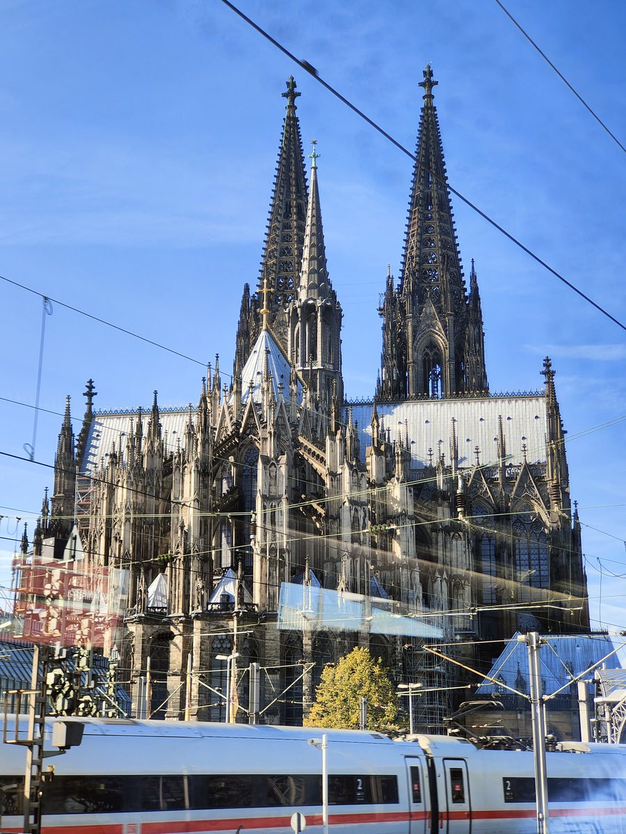 Leonardo Ziaja tweet media