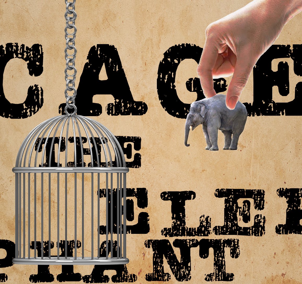 KageSlime's tweet photo. Decided to make some album covers from my favorite artists. Not sure what my plan was with Cage the Elephant even tho i drew sketches first 😅haha
#GraphicDesign #GraphicDesigner #digitalart #Photoshop https://t.co/vZqNNkyHdW