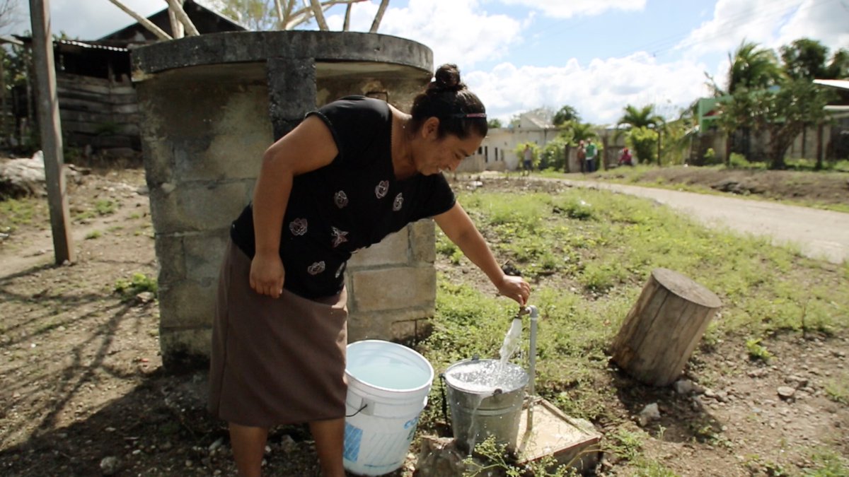 CAPA Quintana Roo 💧 tweet media