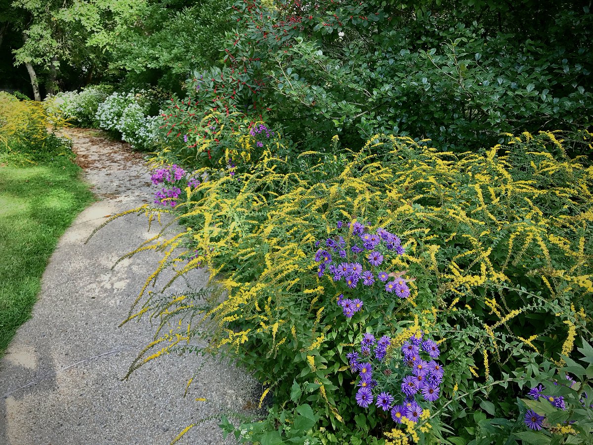 Brandywine Conservancy tweet media