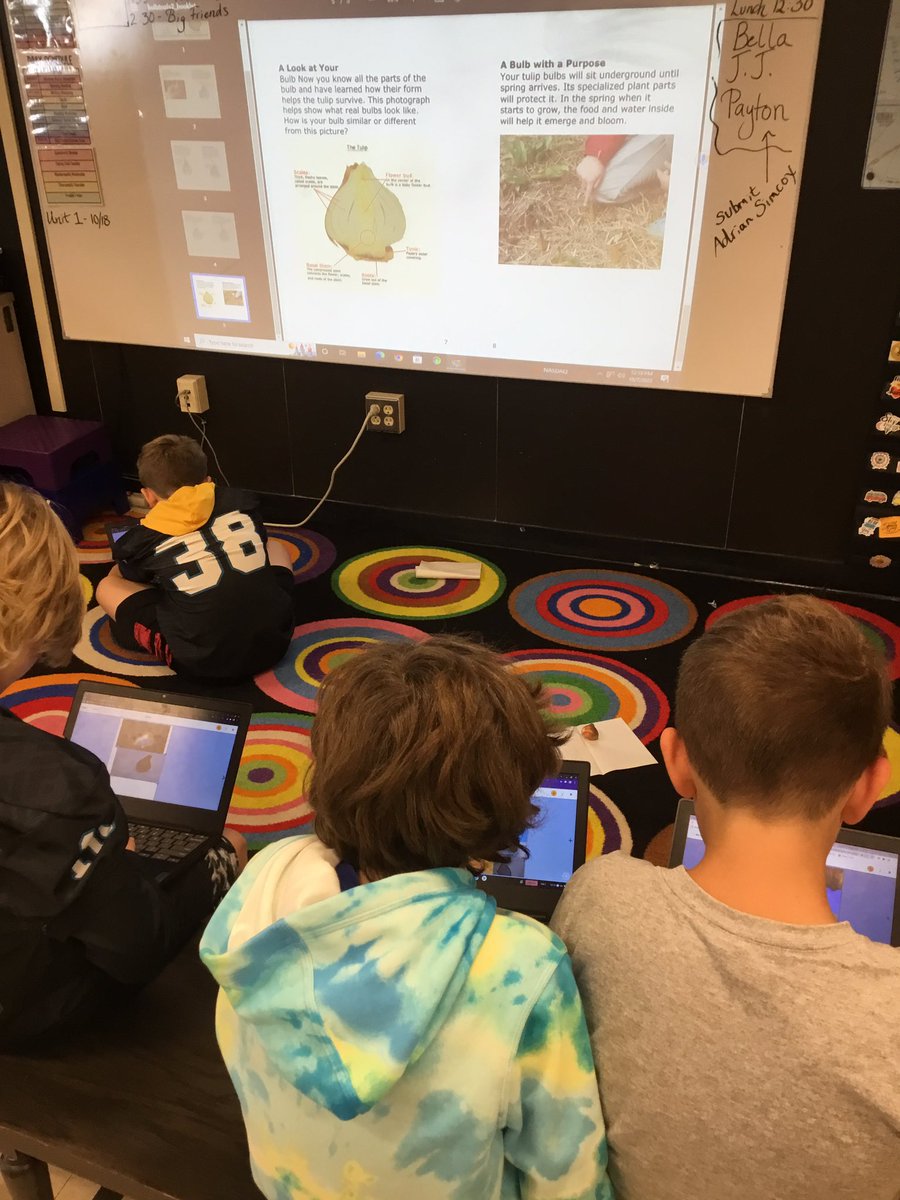 Michael Albert (@mralbertses) on Twitter photo Using <a href="/BookCreatorApp/">Book Creator Team</a> to start our <a href="/journeynorthED/">Journey North Ed</a> tulip test garden science notebooks. We began by noticing and researching the bulbs. <a href="/pps_edtech/">PPS_EdTech</a> <a href="/MassCUE/">MassCUE</a> Using <a href="/BookCreatorApp/">Book Creator Team</a> to start our <a href="/journeynorthED/">Journey North Ed</a> tulip test garden science notebooks. We began by noticing and researching the bulbs. <a href="/pps_edtech/">PPS_EdTech</a> <a href="/MassCUE/">MassCUE</a>