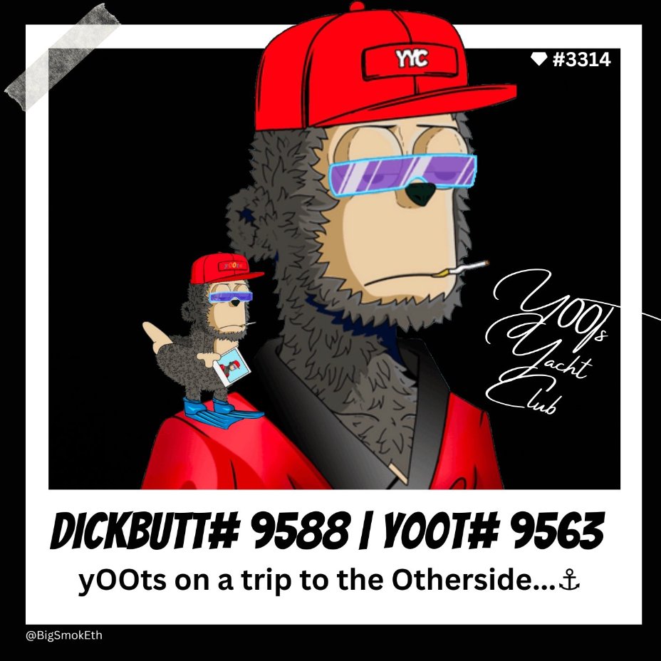 Zornathologist.eth 🟡 tweet media