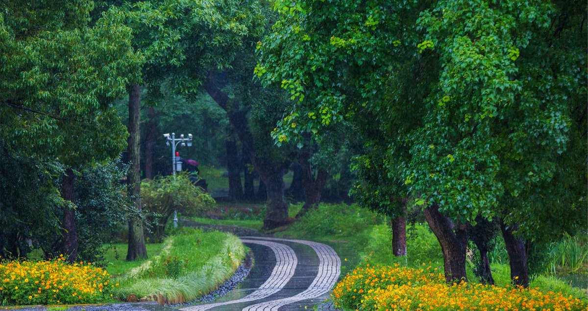 Explore Jiangsu tweet media