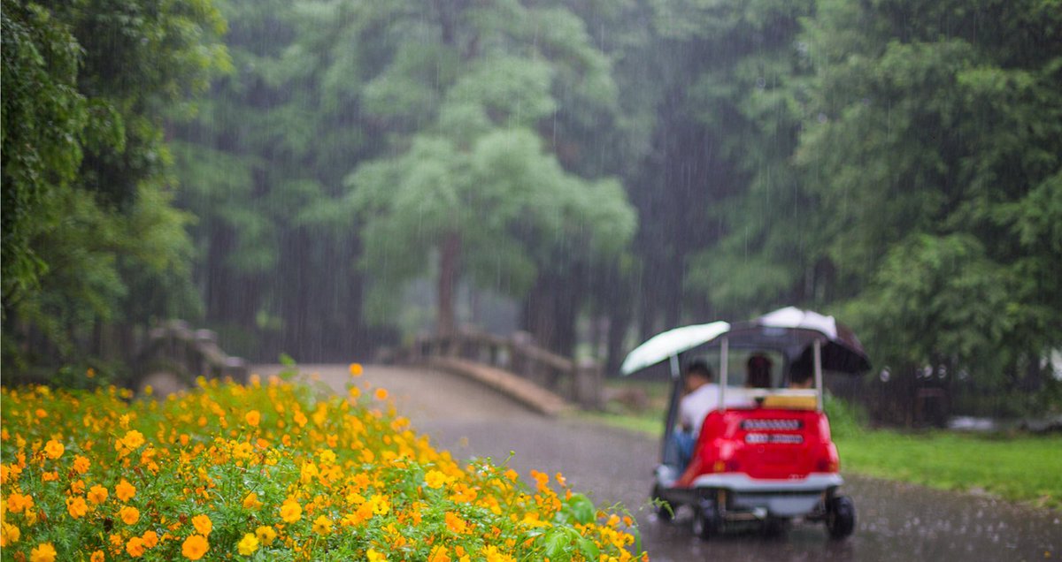 Explore Jiangsu tweet media