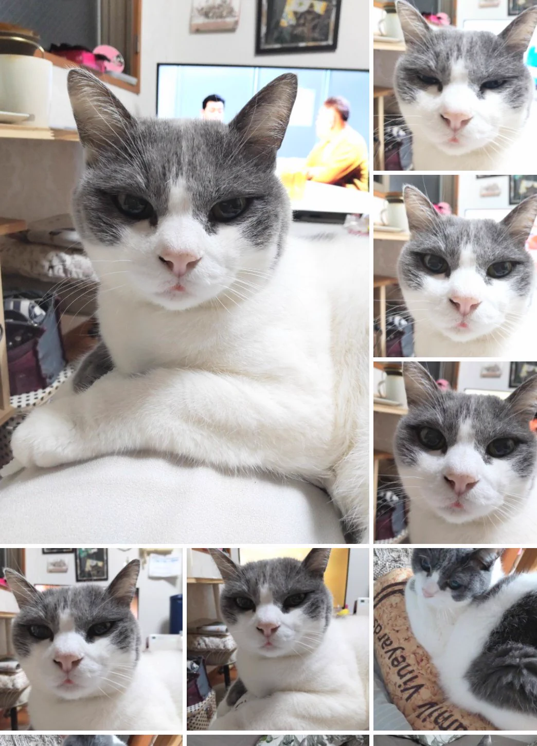 @kyuryuZ 共感しかないw 