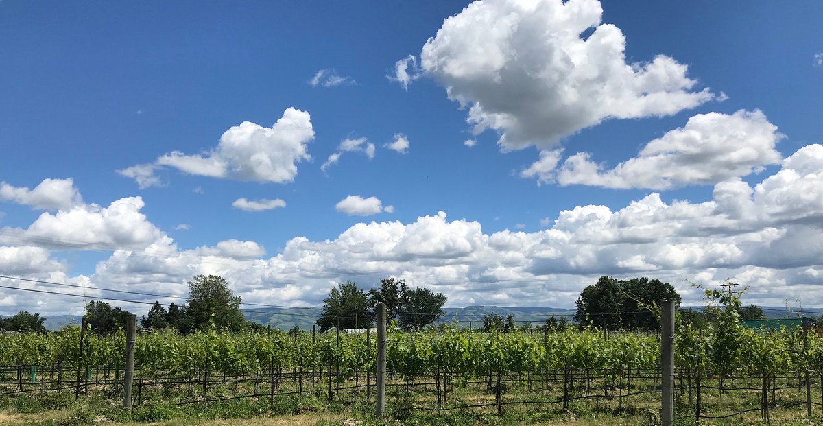 Tonight! It's the perfect pairing with autumn - Washington State Syrah from Walla Walla: flight of five wines plus extras, we pour Reynvaan, Betz, Grosgrain, and more (5-7pm; fee) conta.cc/3V92v3H