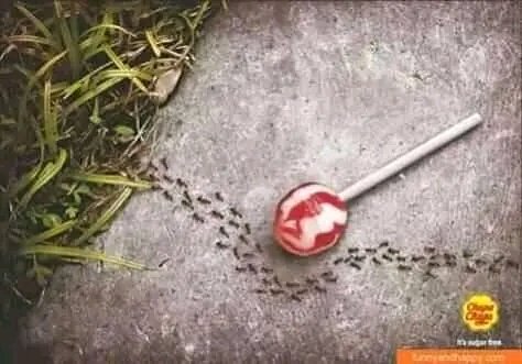 by_Moseti's tweet photo. When Your Tweet Is Fire But You're Just A Nobody On Twitter ๐ฉ.#smallwig. https://t.co/2U1MrICJLt