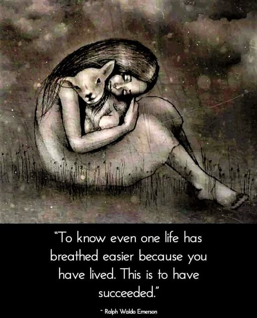 Mary Zientek Sulaiman (@zientekmary) on Twitter photo 