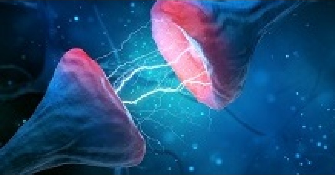 FREE NEUROSCIENCE WEBINAR: Oct. 13! Pre-register for Dr. Sharif Kronemer's webinar "What is the matter with the mind?" 12-1PM next Thursday. faes.org/events/faes-we…