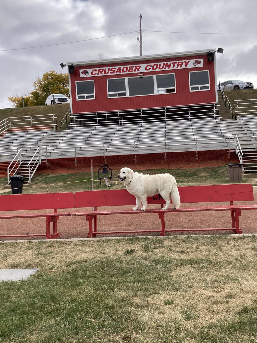 richstoffers's tweet image. Coach would you be willing to teach FIZER the puppy some concepts?!?  He’s sort of all offense right now ( no D)!! Alright, have a great Fri.! And,  thanks (both of u) for being a professional educator, coach, etc! #crusaders #CrusaderHoops #Toreadors #PuppyClinic!???!