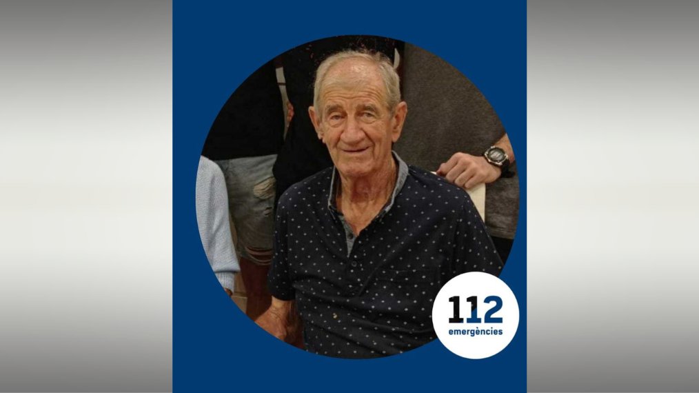 3CatInfo tweet media