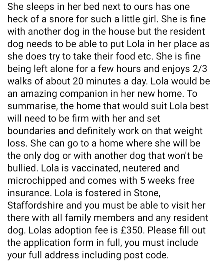 star_rescueuk's tweet photo. LOLA IS NOW READY TO ADOPT
Please read her write up and the adoption criteria and process BEFORE filling in the application if interest in the link below. 

https://t.co/qoGwco9Kqq

#shihtzuactionrescue #AdoptDontShop
#DogsofTwittter https://t.co/gq4xi1gLgu