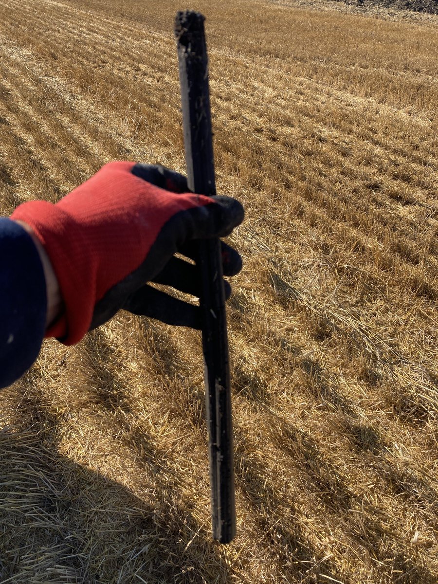 Dave Ives tweet media