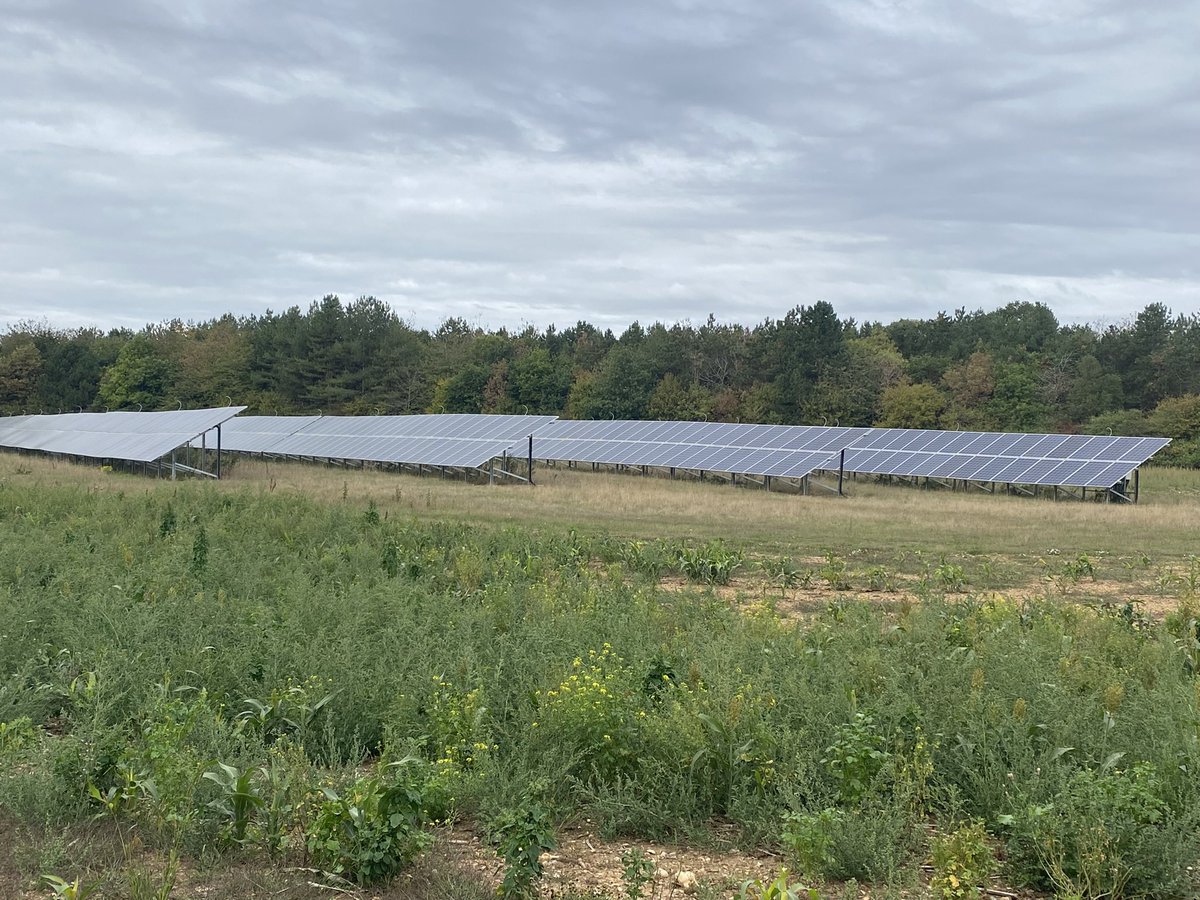 pranveras's tweet photo. Really lucky to have invested in this ☀️☀️☀️   #ellinghamhall #norfolk #estate #countryside #solarfarm #energy #EnergyCrisis https://t.co/YD5N01fHAJ