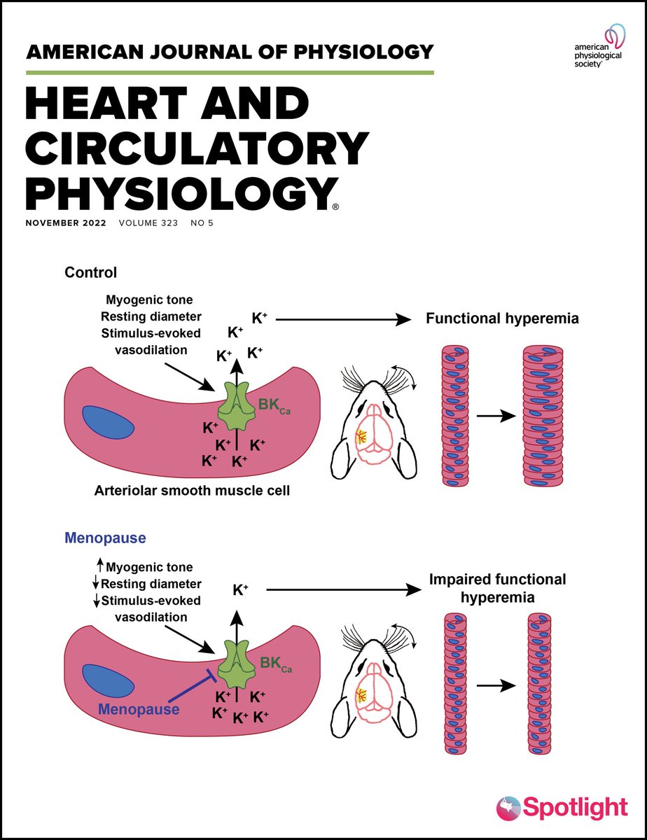 Jade Blackwell (@jablackwell_) on Twitter photo Honoured to have my paper chosen as the spotlight cover for <a href="/ajpheartcirc/">AJP-Heart and Circ</a>! We did it, <a href="/Pires_Lab/">Paulo Pires</a> & <a href="/AJPRenalEIC/">Dr. Heddwen Brooks, PhD, AJP-Renal Editor-in-Chief</a> 🥳 Honoured to have my paper chosen as the spotlight cover for <a href="/ajpheartcirc/">AJP-Heart and Circ</a>! We did it, <a href="/Pires_Lab/">Paulo Pires</a> & <a href="/AJPRenalEIC/">Dr. Heddwen Brooks, PhD, AJP-Renal Editor-in-Chief</a> 🥳