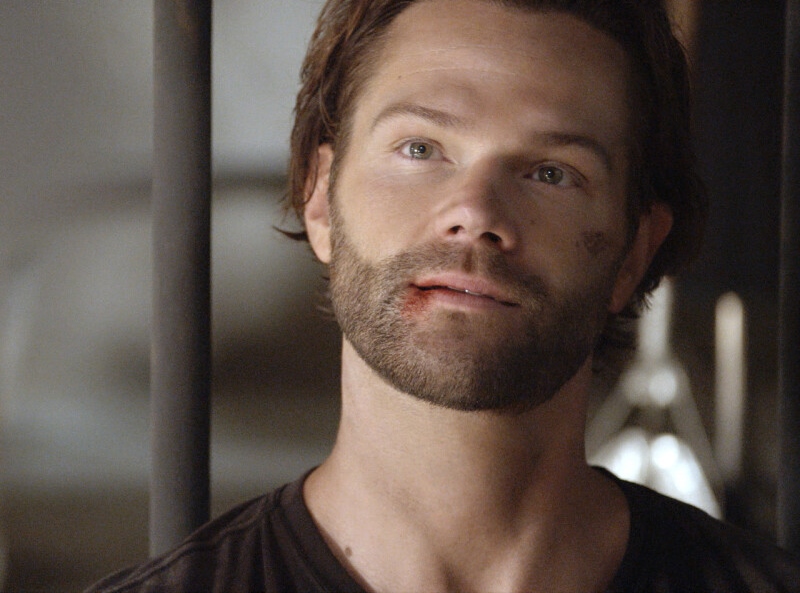 WinFamBusiness's tweet photo. Another Surprise Cliffhanger Ending from #Walker!!
Catch Every Detail of S3's Shocking Premiere with @EstherSPNWKWI's #Recap #Review! (Did you pick up all the #Supernatural shoutouts?) https://t.co/pbAqCoAXEr
#SPNFamily #WalkerFamily @jarpad
#SomeonesMissing @TheWalkerWiki https://t.co/DZsZacgY23