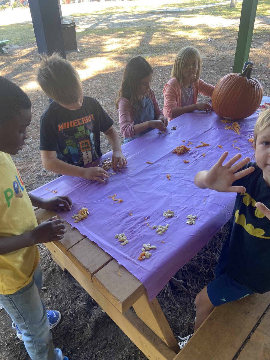 MrsMulligan_AOE's tweet photo. 🎃 Pumpkin Investigation
Today I suprised the class with a pumpkin lesson ! We measured the pumpkin using standard and non-standard tools. Each student estimates how many seeds they believe the pumpkin had inside. After we collected all of the seeds and grouped them in ten #aoes https://t.co/jFqe6nK138