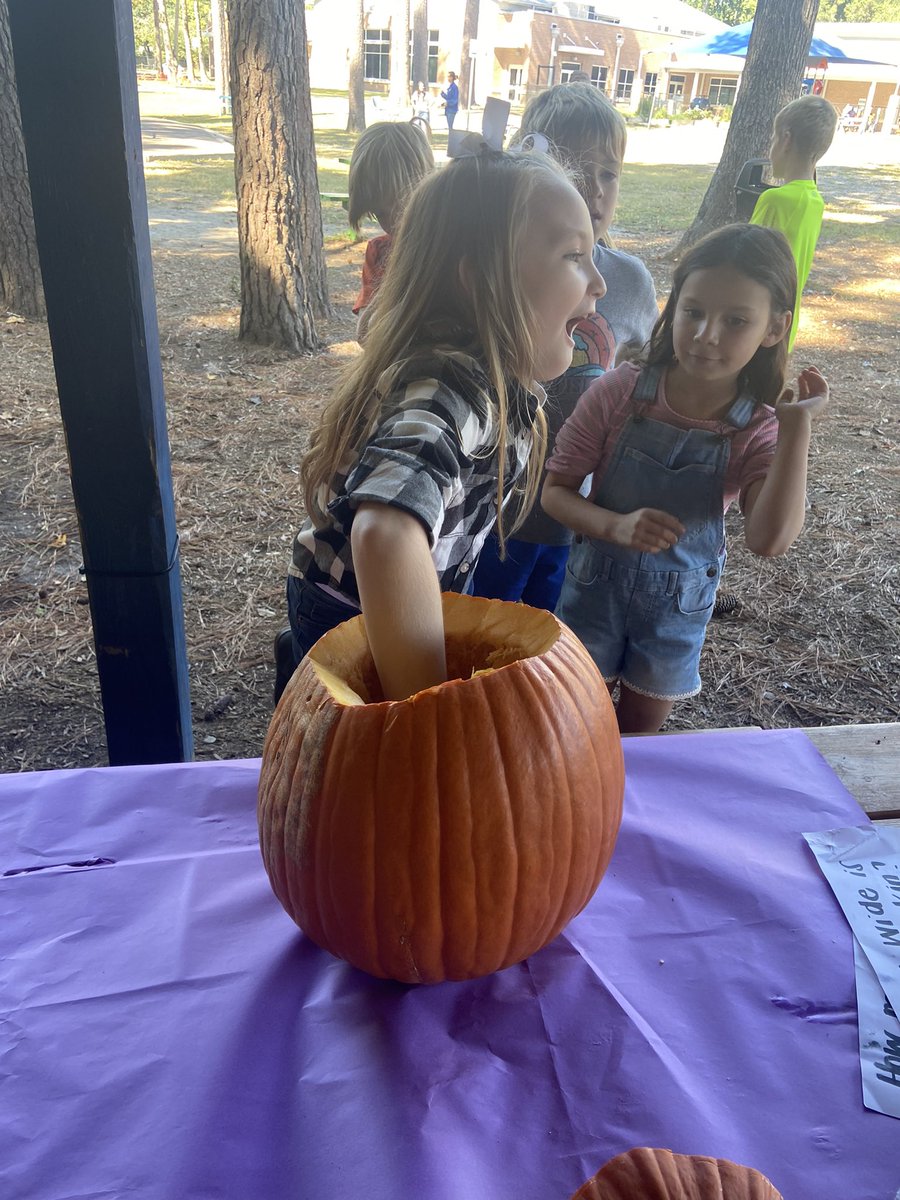 MrsMulligan_AOE's tweet photo. 🎃 Pumpkin Investigation
Today I suprised the class with a pumpkin lesson ! We measured the pumpkin using standard and non-standard tools. Each student estimates how many seeds they believe the pumpkin had inside. After we collected all of the seeds and grouped them in ten #aoes https://t.co/jFqe6nK138
