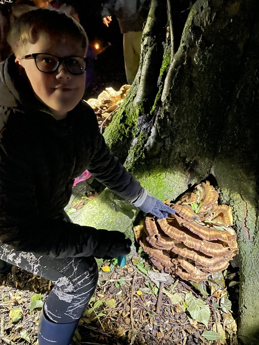 Grimes Dyke Primary School tweet media