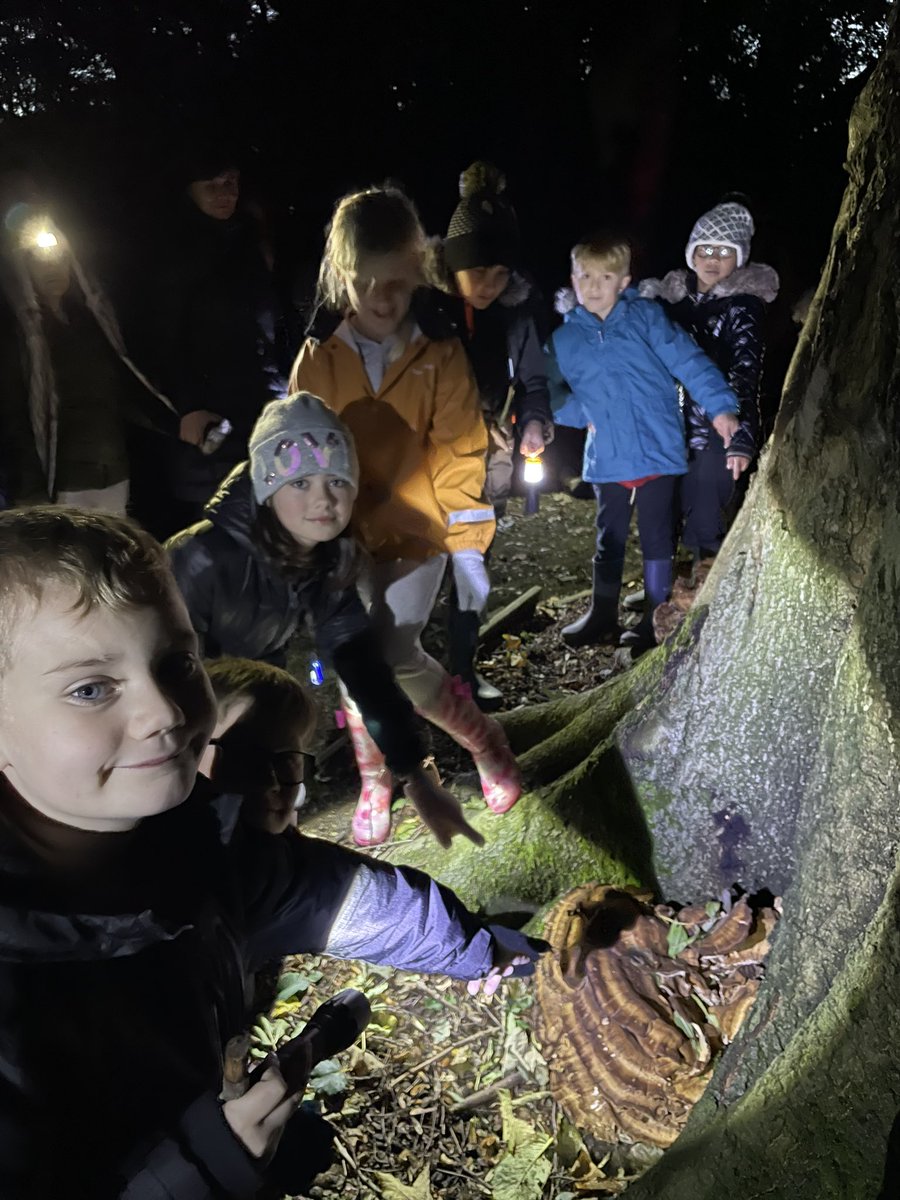 Grimes Dyke Primary School tweet media