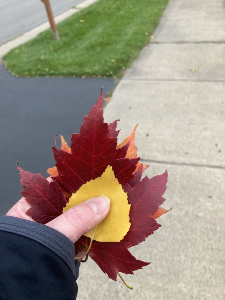 Alexandra Hoff tweet media