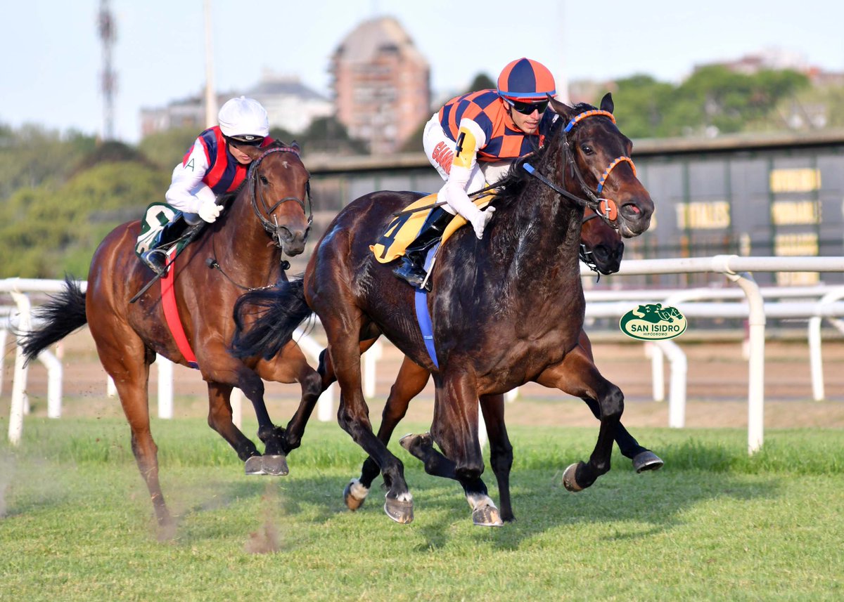 HipodromoSI's tweet photo. ✅ En el @HipodromoSI se disputó el #ClásicoEmpiric (1400 metros), donde se impuso #Manuca (Brz., Agnes Gold), del #StudRDI, entrenada por #CarlosDanielEtchechoury y dirigida por #AdriánGiannetti. https://t.co/gaph2gzkKt