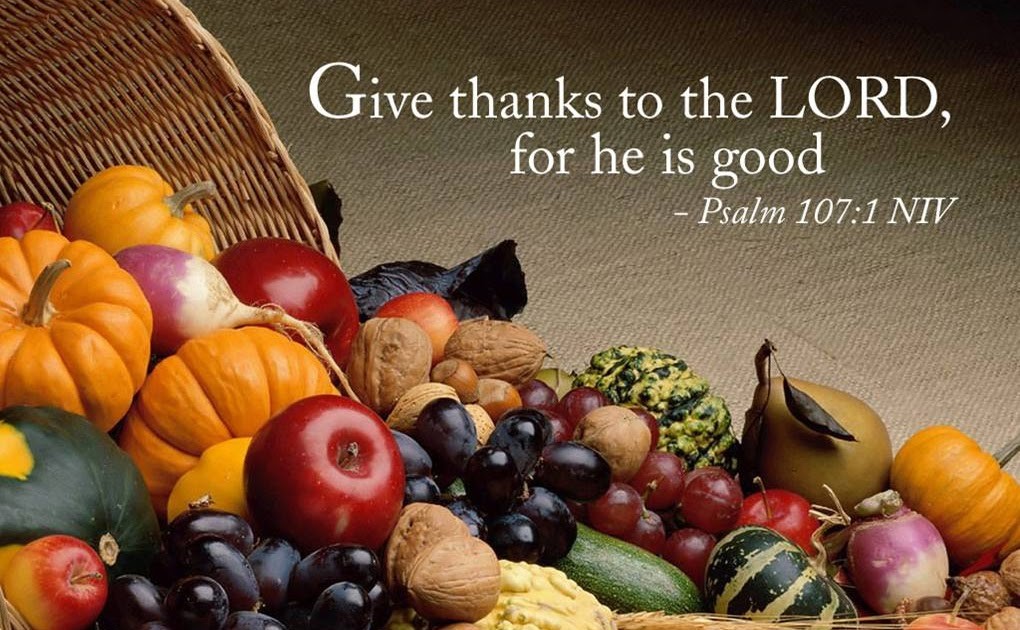 Happy Thanksgiving Weekend from St. Luke's, Palermo! Join us this Sunday at 10 am as we give thanks to God for the many blessings from Earth and Heaven.