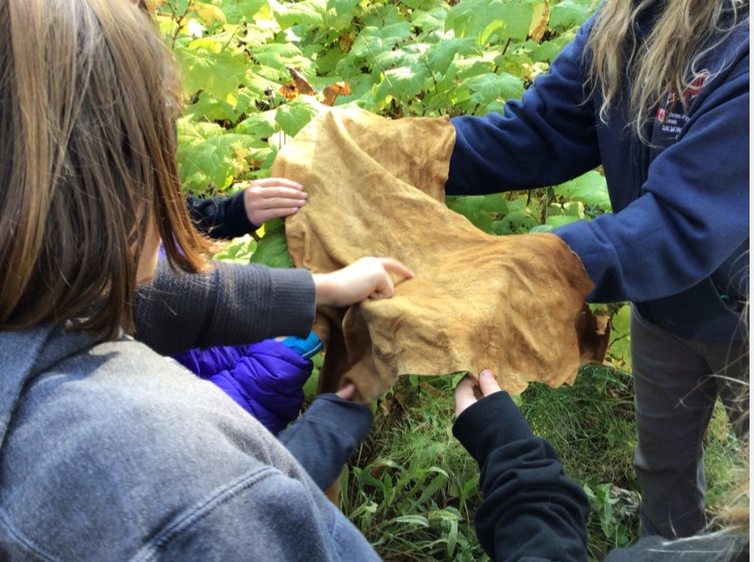 Scott Belshaw tweet media