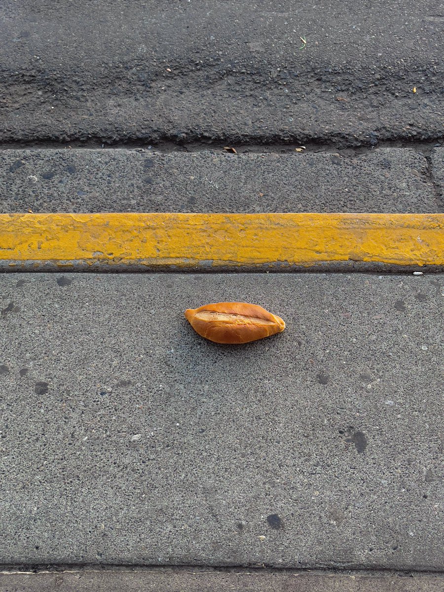 Went to Oregon, saw bolillo on the floor